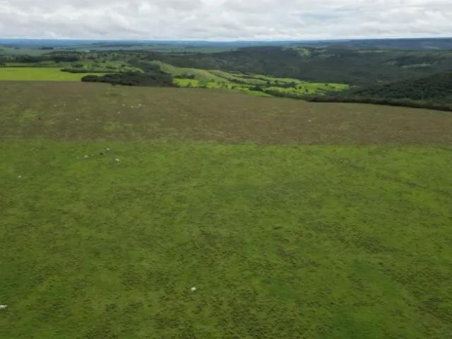 Fazenda venda em Região Geográfica Imediata de Luziânia, Região Integrada de Desenvolvimento do Distrito Federal e Entorno