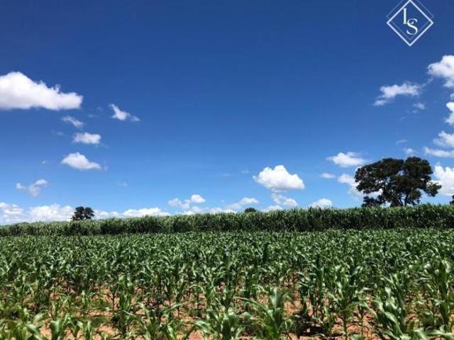 Sítio e chácara venda em Região Geográfica Imediata de Pirapora, Santa Fé de Minas