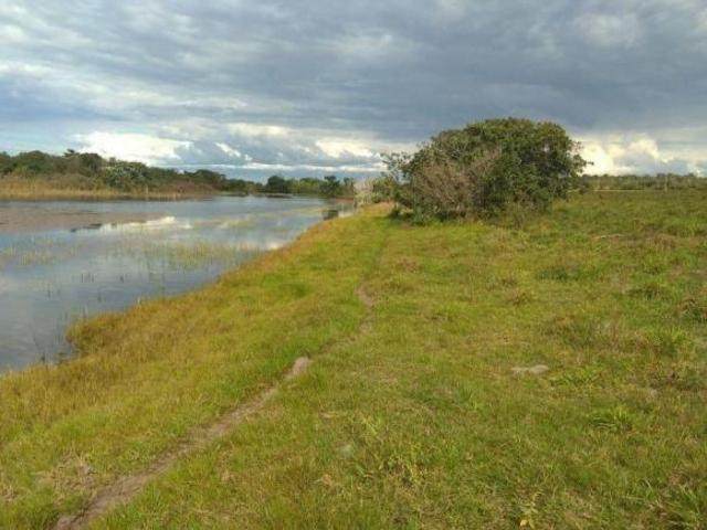 Sítio e chácara venda em Região Geográfica Imediata de Barra do Garças, Novo São Joaquim