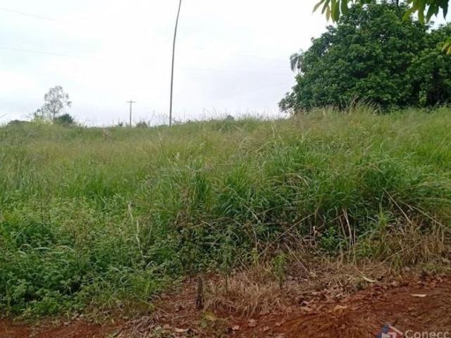 Sítio e chácara venda em Região Geográfica Imediata de Patos de Minas, Patos de Minas