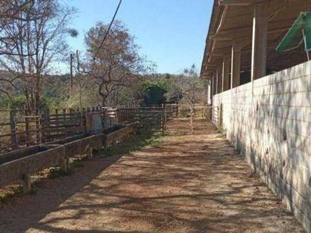Sítio e chácara venda em Região Geográfica Imediata de Belo Horizonte, Região Metropolitana de Belo Horizonte