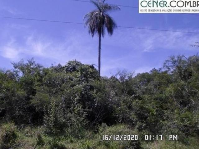 Sítio e chácara venda em Região Geográfica Imediata de Belo Horizonte, Região Metropolitana de Belo Horizonte