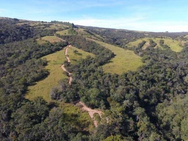 Sítio e chácara venda em Região Geográfica Imediata de Águas Lindas de Goiás, Região Integrada de Desenvolvimento do Distrito Federal e Entorno