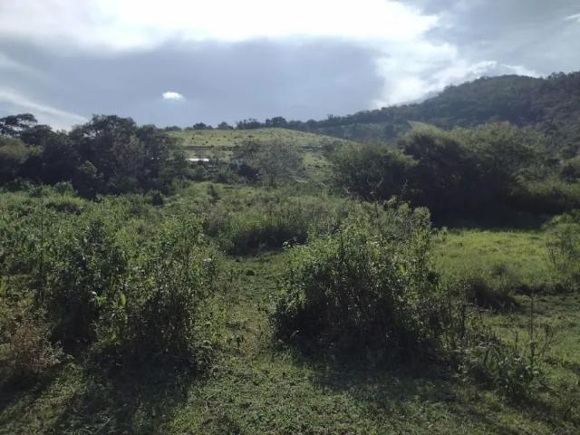 Fazenda venda em Região Imediata de Birigui-Penápolis, Birigui