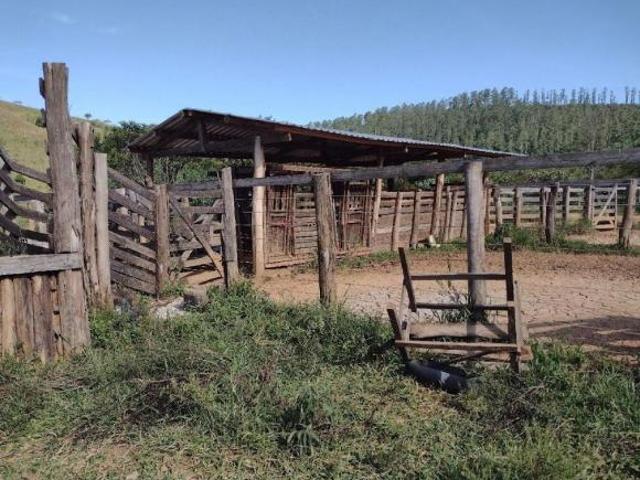 Sítio e chácara venda em Região Imediata de Birigui-Penápolis, Birigui