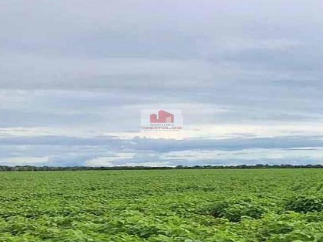 Sítio e chácara venda em Região Geográfica Imediata de Flores de Goiás, São João d'Aliança
