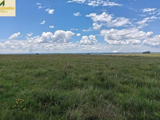 Sítio e chácara venda em Região Geográfica Imediata de Caxias do Sul, São Francisco de Paula
