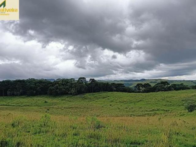 Sítio e chácara venda em Região Geográfica Imediata de Caxias do Sul, Cambara do Sul