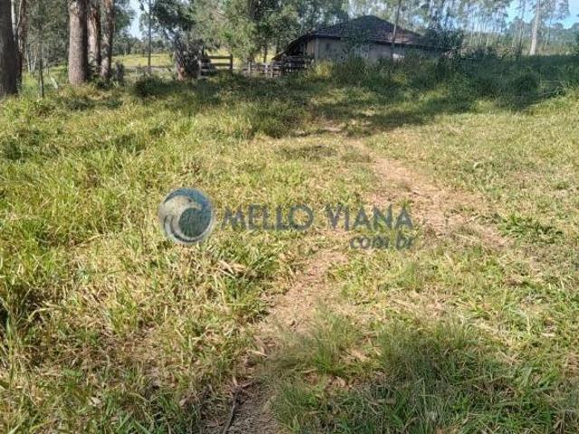 Sítio e chácara venda em Região Geográfica Imediata de Caxambu - Baependi, Cruzília