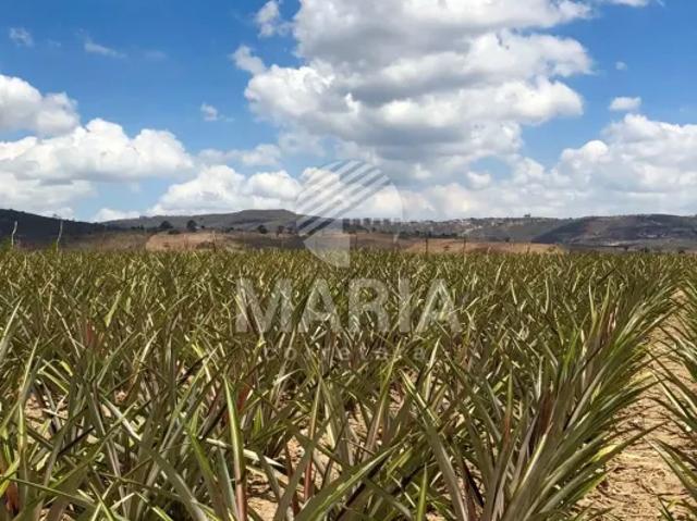 Fazenda venda em Região Geográfica Imediata de Caruaru, Gravata