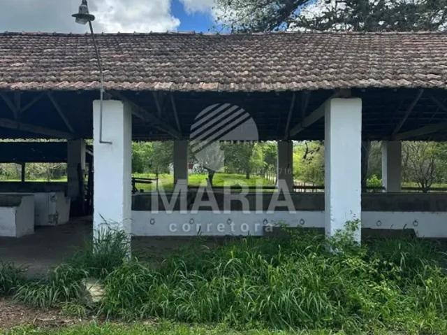 Fazenda venda em Região Geográfica Imediata de Caruaru, Gravata