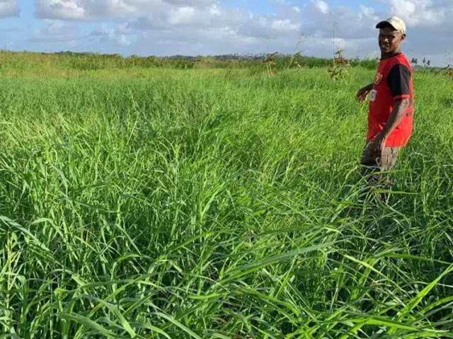 Fazenda venda em Região Geográfica Imediata de Natal, Ceará-Mirim