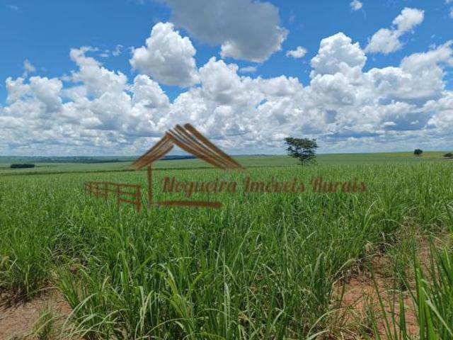 Sítio e chácara venda em Região Imediata de Andradina, Mirandópolis