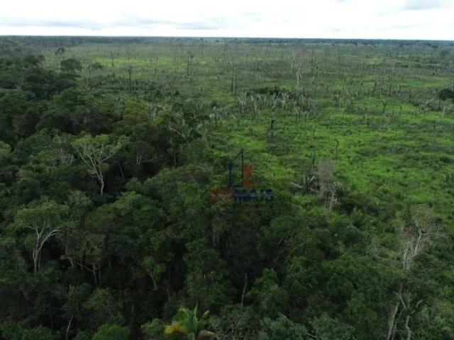 Fazenda venda em Machadinho d'Oeste, Região Norte