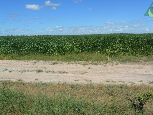 Sítio e chácara venda em Região Geográfica Imediata de Unaí, Bonfinópolis de Minas