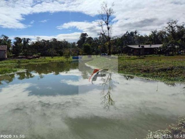Sítio e chácara venda em Região Geográfica Imediata de Paranaguá, Antonina
