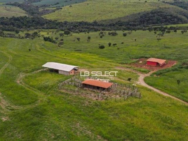 Sítio e chácara venda em Região Geográfica Imediata de Januária, Januária