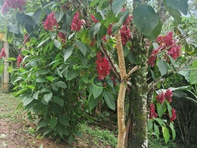 Sítio e chácara venda em Monteiro Lobato, Região Geográfica Intermediária de São José dos Campos
