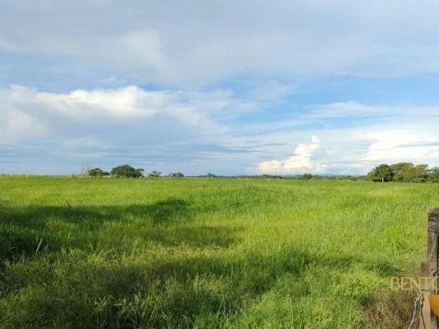 Sítio e chácara venda em Jangada, Região Geográfica Intermediária de Cuiabá