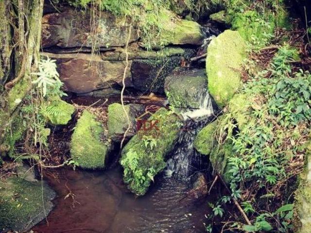 Sítio e chácara venda em Região Geográfica Imediata de Caxambu - Baependi, Carvalhos