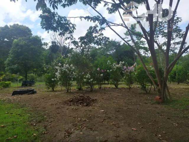 Fazenda venda em Região Geográfica Imediata de Ilhéus – Itabuna, Ubaitaba