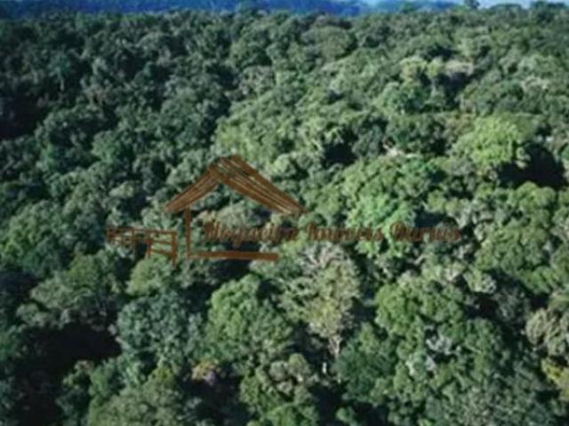 Sítio e chácara venda em Apiaí, Região Geográfica Intermediária de Sorocaba