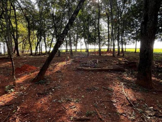 Sítio e chácara venda em Região Geográfica Imediata de Formiga, Bambuí