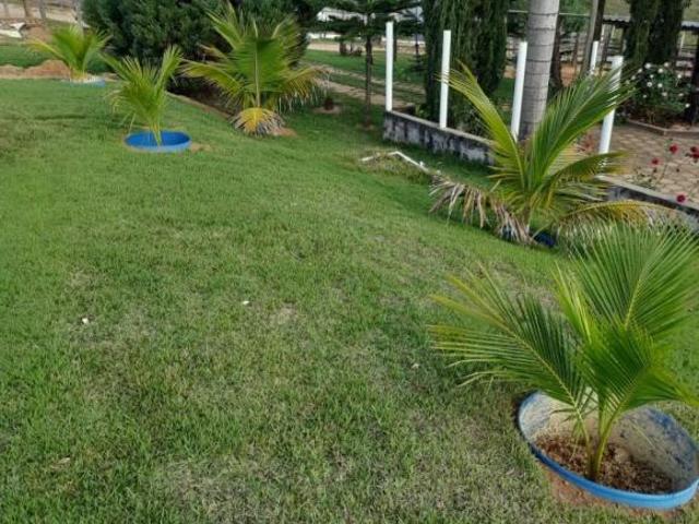 Sítio e chácara venda em Região Geográfica Imediata de Oliveira, Carmópolis de Minas