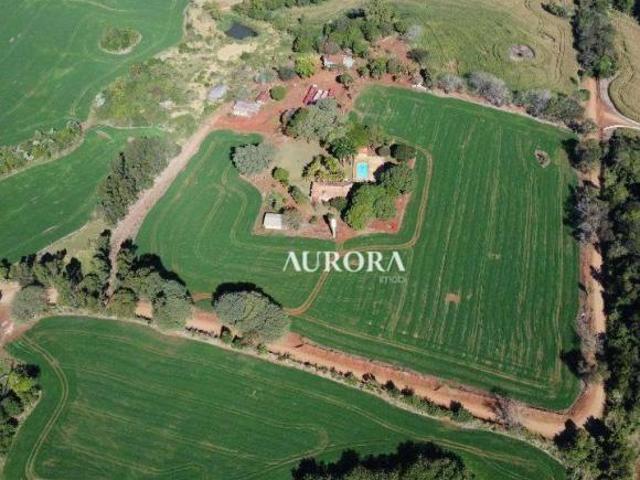 Sítio e chácara venda em Região Geográfica Imediata de Londrina, Ibiporã