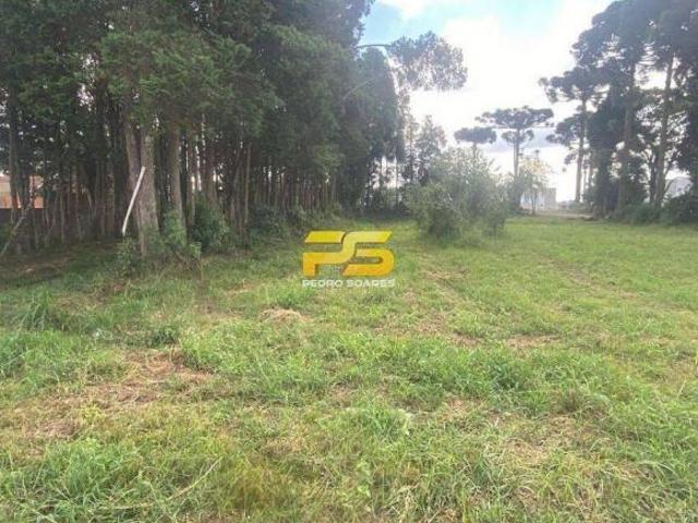 Sítio e chácara venda em Eucaliptos, Fazenda Rio Grande