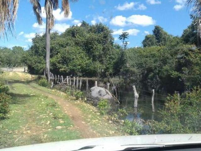 Sítio e chácara venda em Região Geográfica Imediata de Januária, Bonito de Minas