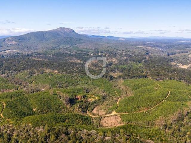 Sítio e chácara venda em Região Geográfica Imediata de Curitiba, Região Metropolitana de Curitiba
