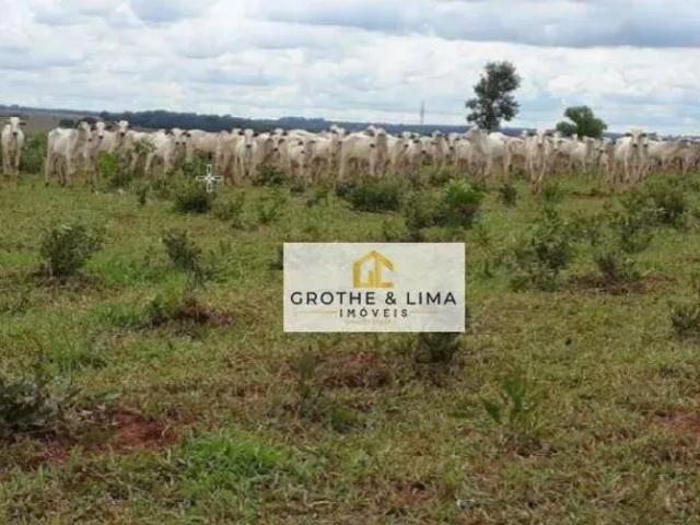 Fazenda venda em Nova Andradina, Mato Grosso do Sul