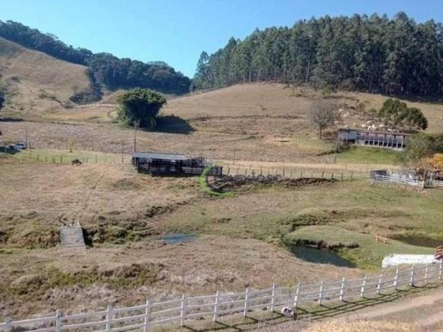 Sítio e chácara venda em Região Imediata de Taubaté-Pindamonhangaba, Região Metropolitana do Vale do Paraíba e Litoral Norte