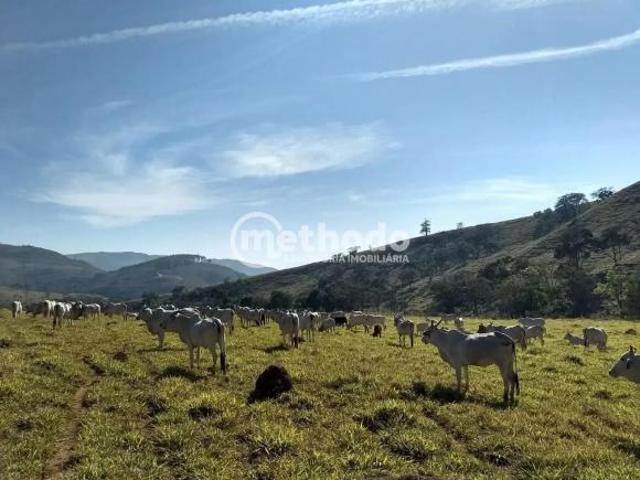 Sítio e chácara venda em Região Geográfica Imediata de Três Pontas - Boa Esperança, Ilicínea