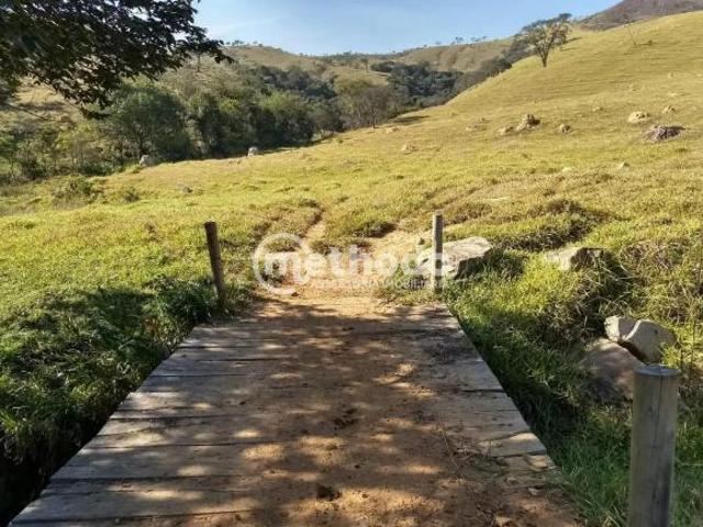 Sítio e chácara venda em Região Geográfica Imediata de Três Pontas - Boa Esperança, Ilicínea