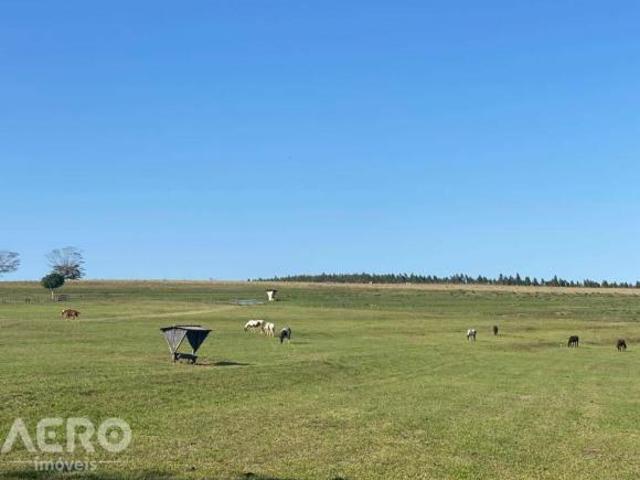 Sítio e chácara venda em Região Imediata de Bauru, Duartina
