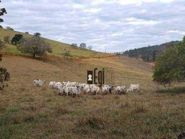 Sítio e chácara venda em Região Geográfica Imediata de Juiz de Fora, Coronel Pacheco