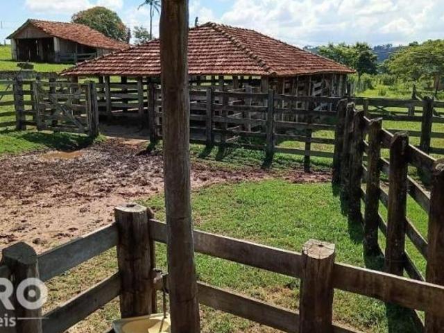 Sítio e chácara venda em Região Imediata de Marília, Região Sudeste