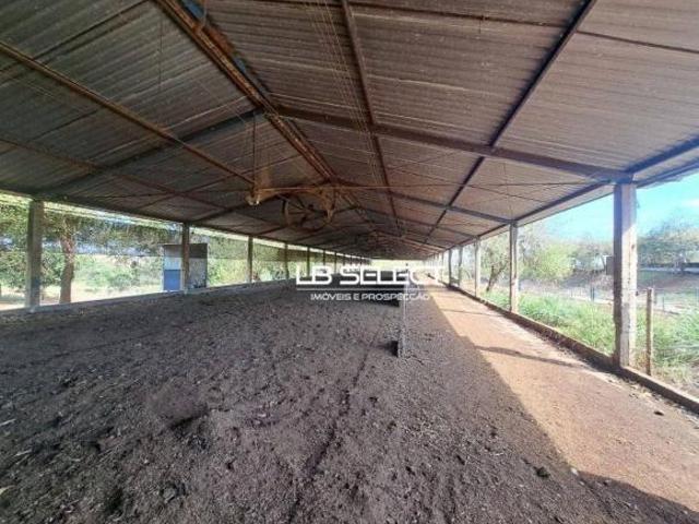 Sítio e chácara venda em Região Geográfica Imediata de Uberlândia, Prata