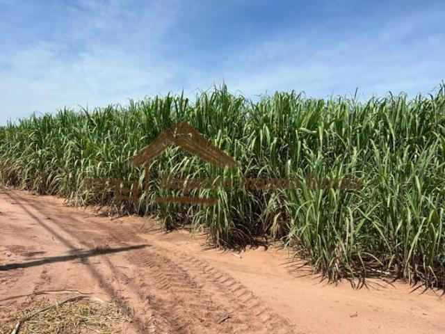 Sítio e chácara venda em Região Imediata de Avaré, Cerqueira César