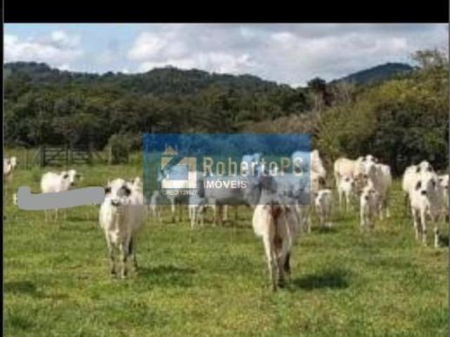 Sítio e chácara venda em Região Geográfica Imediata de Belo Horizonte, Região Metropolitana de Belo Horizonte