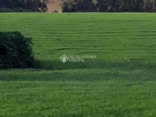 Sítio e chácara venda em Região Geográfica Imediata de Santa Cruz do Sul, Vale Verde