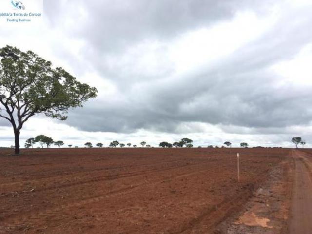 Sítio e chácara venda em Região Geográfica Imediata de Uberlândia, Oliveira Fortes