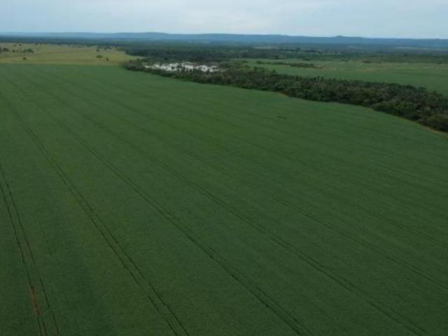 Sítio e chácara venda em Região Geográfica Imediata de Cuiabá, Nobres
