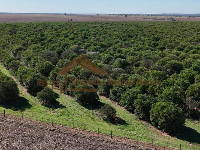 Sítio e chácara venda em Avaré, Região Geográfica Intermediária de Sorocaba