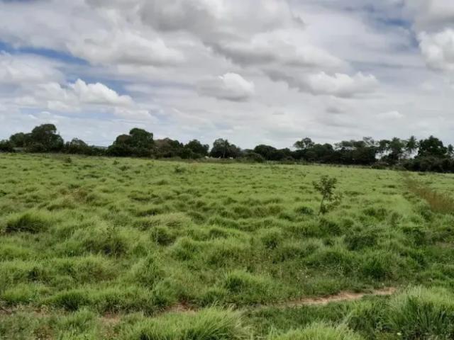 Fazenda venda em Região Geográfica Imediata de Natal, Macaíba