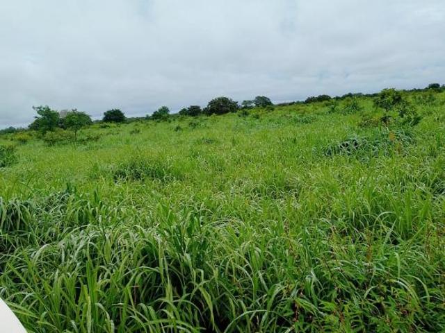 Sítio e chácara venda em Região Geográfica Imediata de Água Boa, Cocalinho