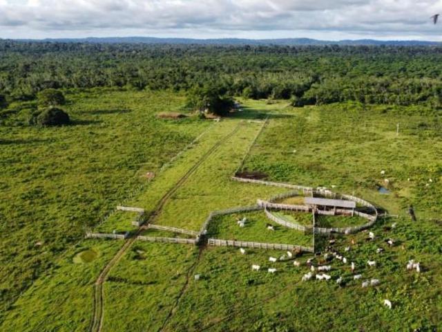 Sítio e chácara venda em Região Geográfica Imediata de Alta Floresta, Paranaíta