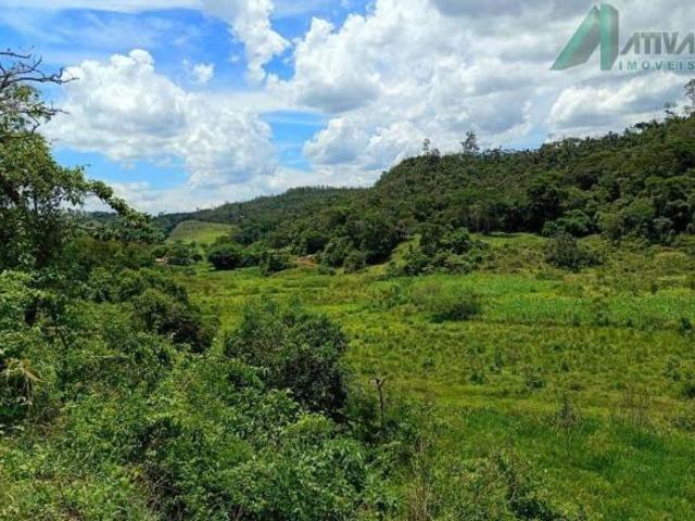 Sítio e chácara venda em Região Geográfica Imediata de Ponte Nova, Alvinópolis